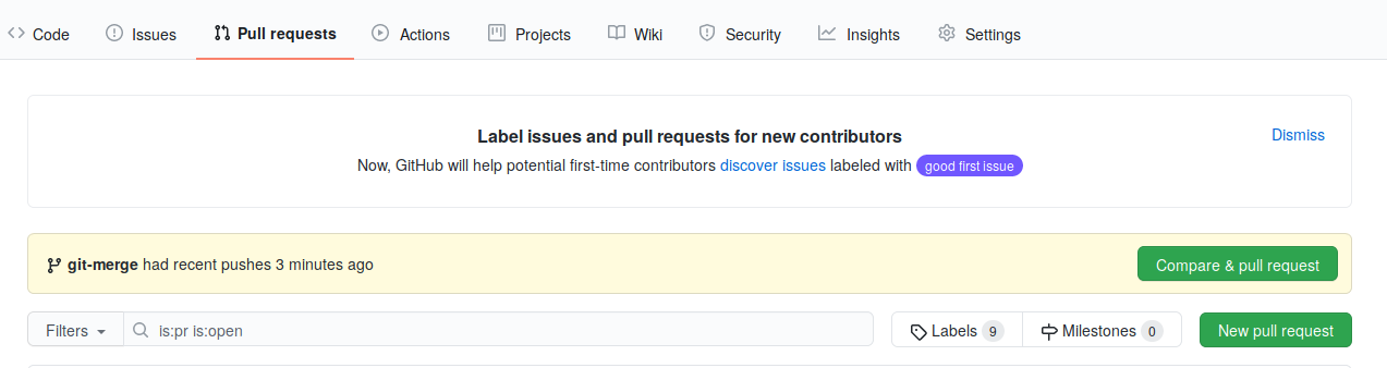 GitHub - Nuova Pull Request - passo 1